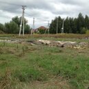 Строительство домов